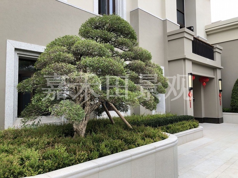 如何選擇專業(yè)的景觀設(shè)計(jì)師或施工隊(duì)伍？